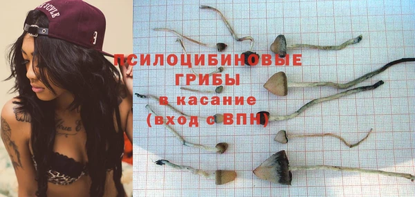 винт Алзамай