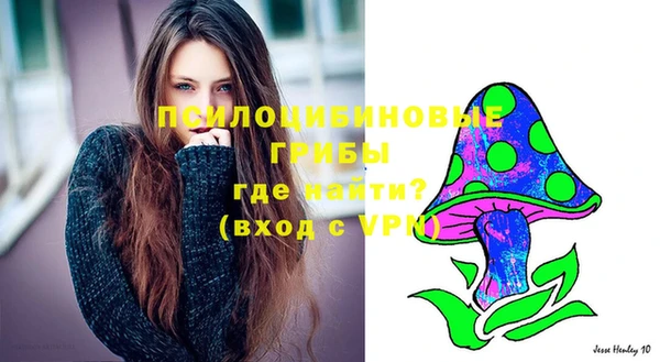 кокс Алексин